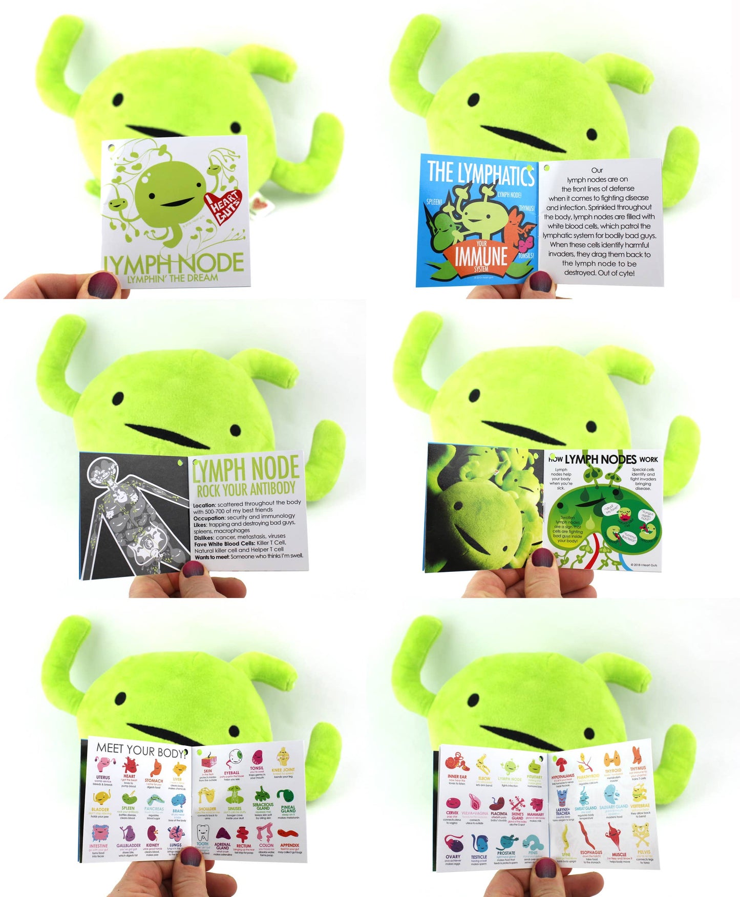 Lymph Node Plush - Rock Your Antibody