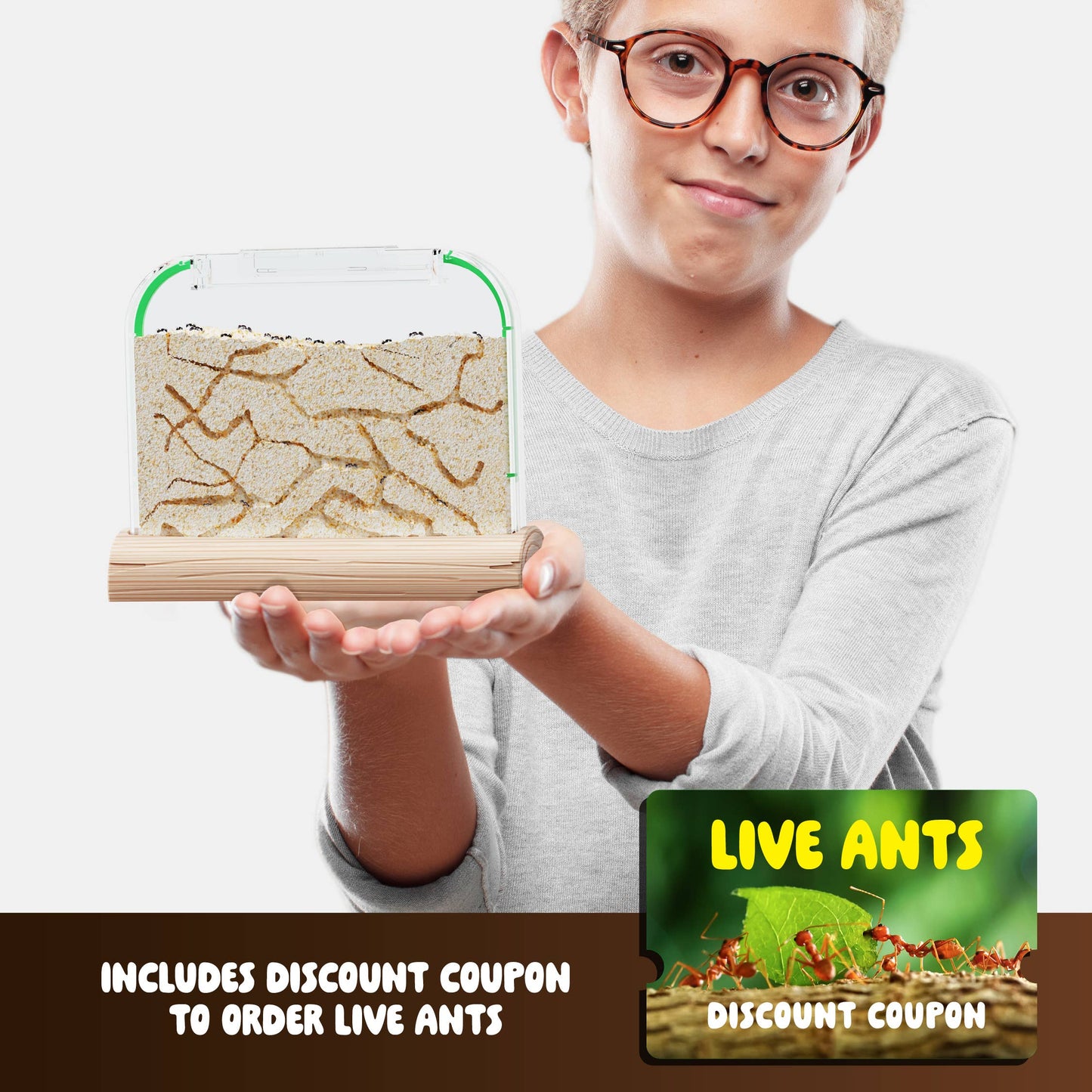 Ant Farm Kit for Kids, Sand Habitat, Includes Ant Voucher