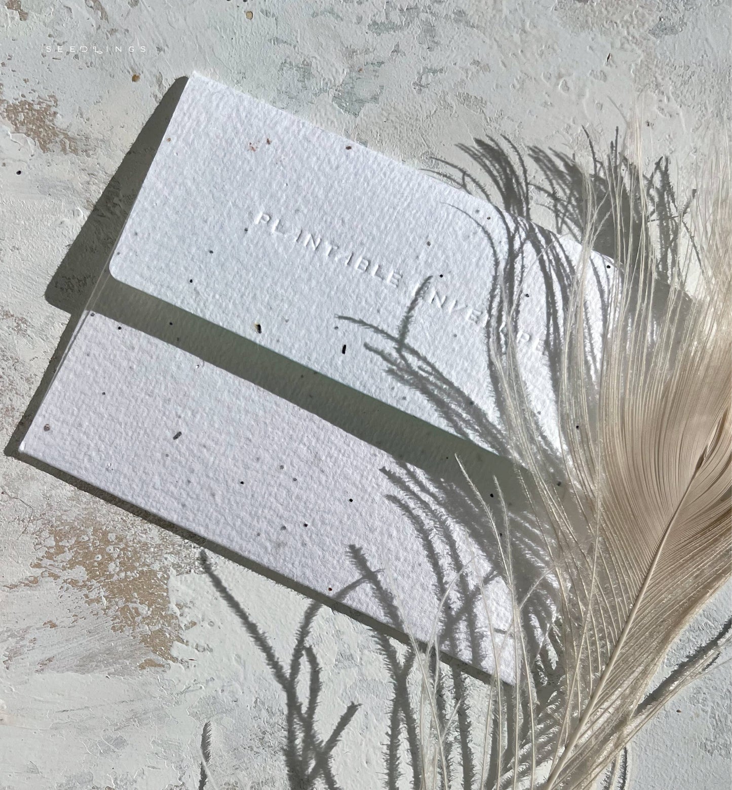 Kindness - Thank You Card