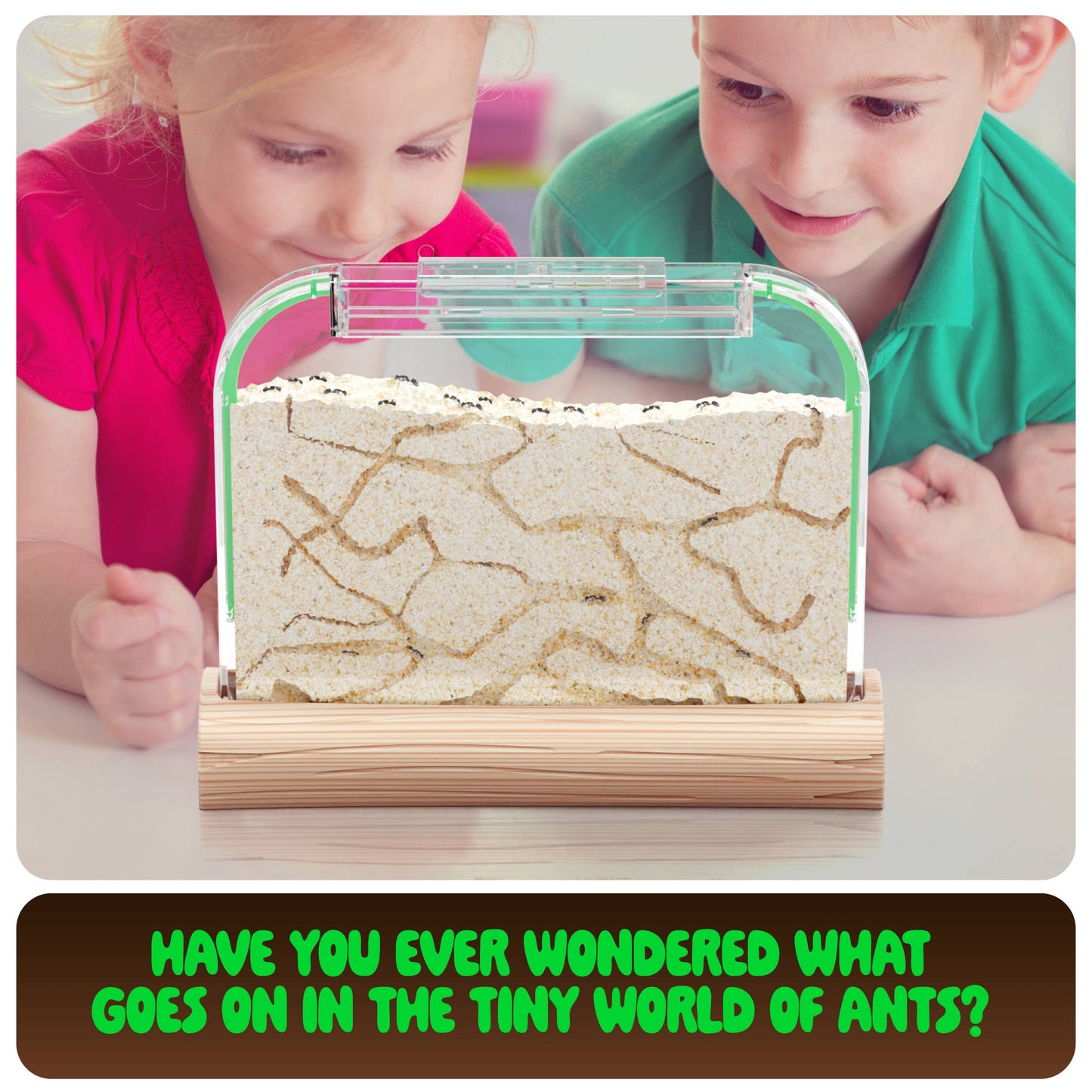 Ant Farm Kit for Kids, Sand Habitat, Includes Ant Voucher