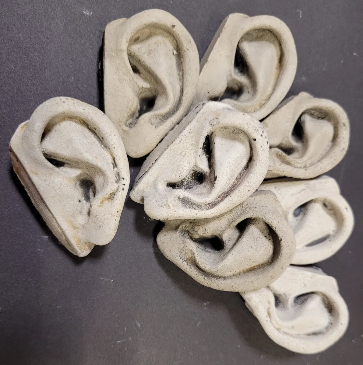 Ears