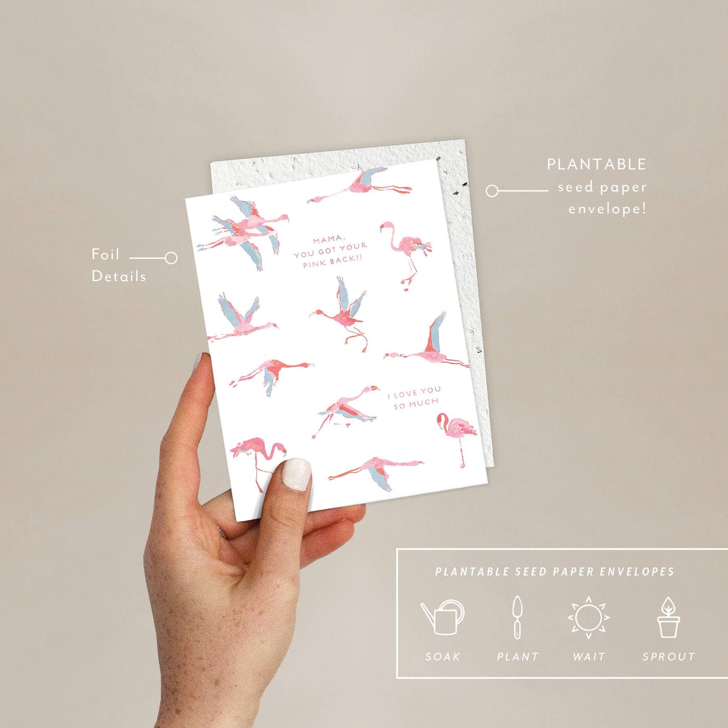 Flamingos - Friendship Card