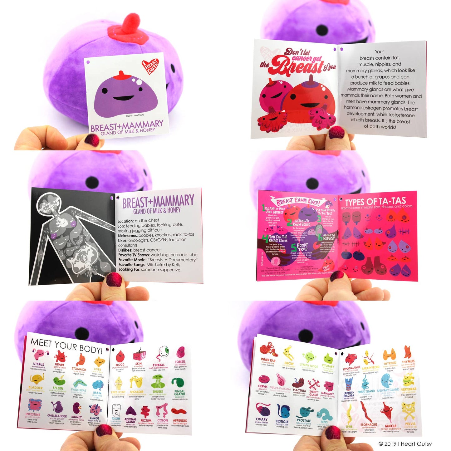 Breast Plush - Gland of Milk + Honey - Self-Exam Included