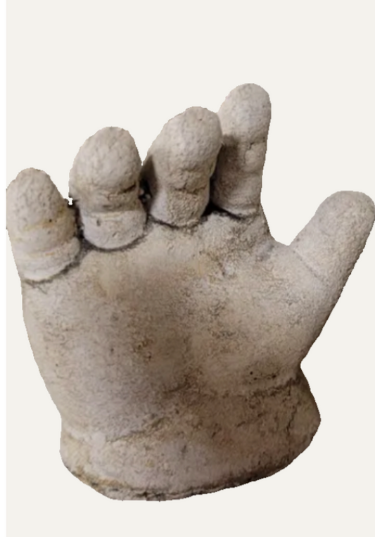 Baby Hand