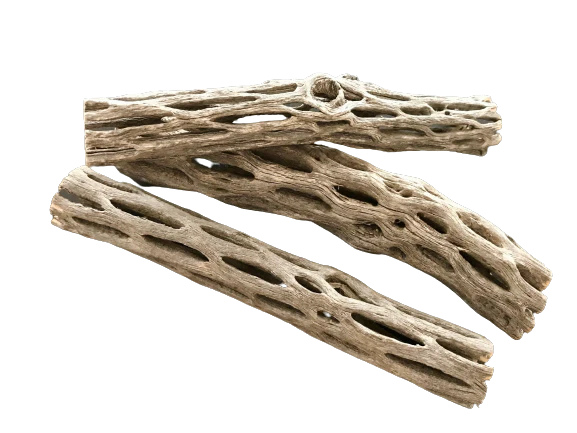 Organic Cholla Wood