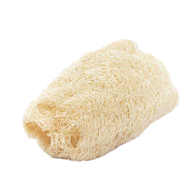 Natural Loofah 