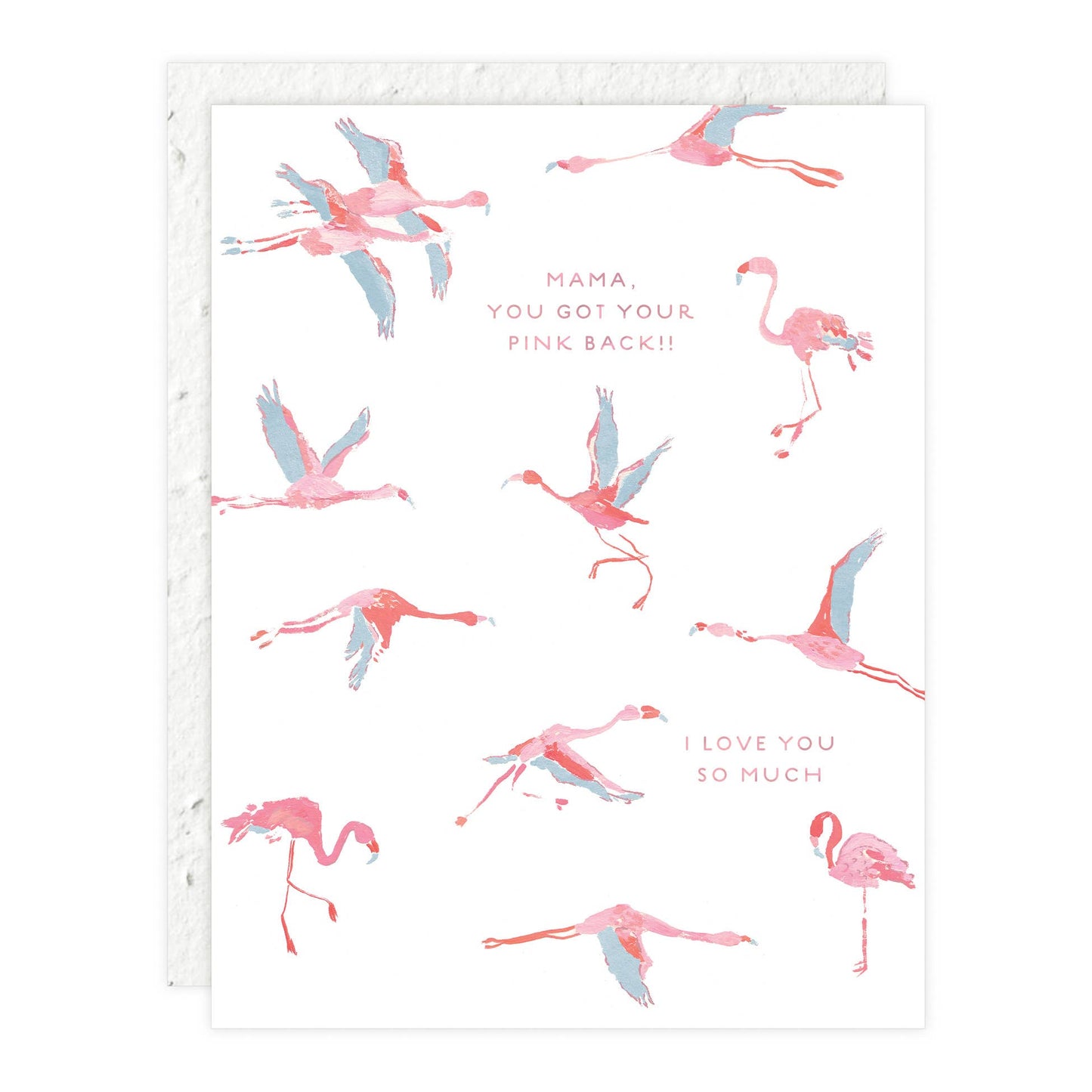 Flamingos - Friendship Card