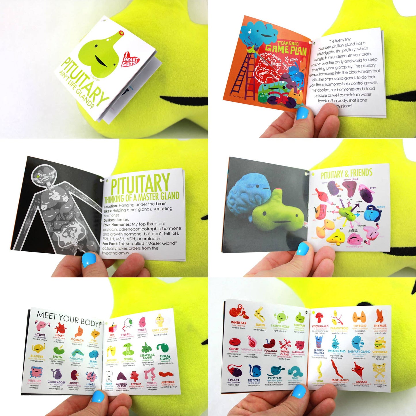 Pituitary Gland Plush