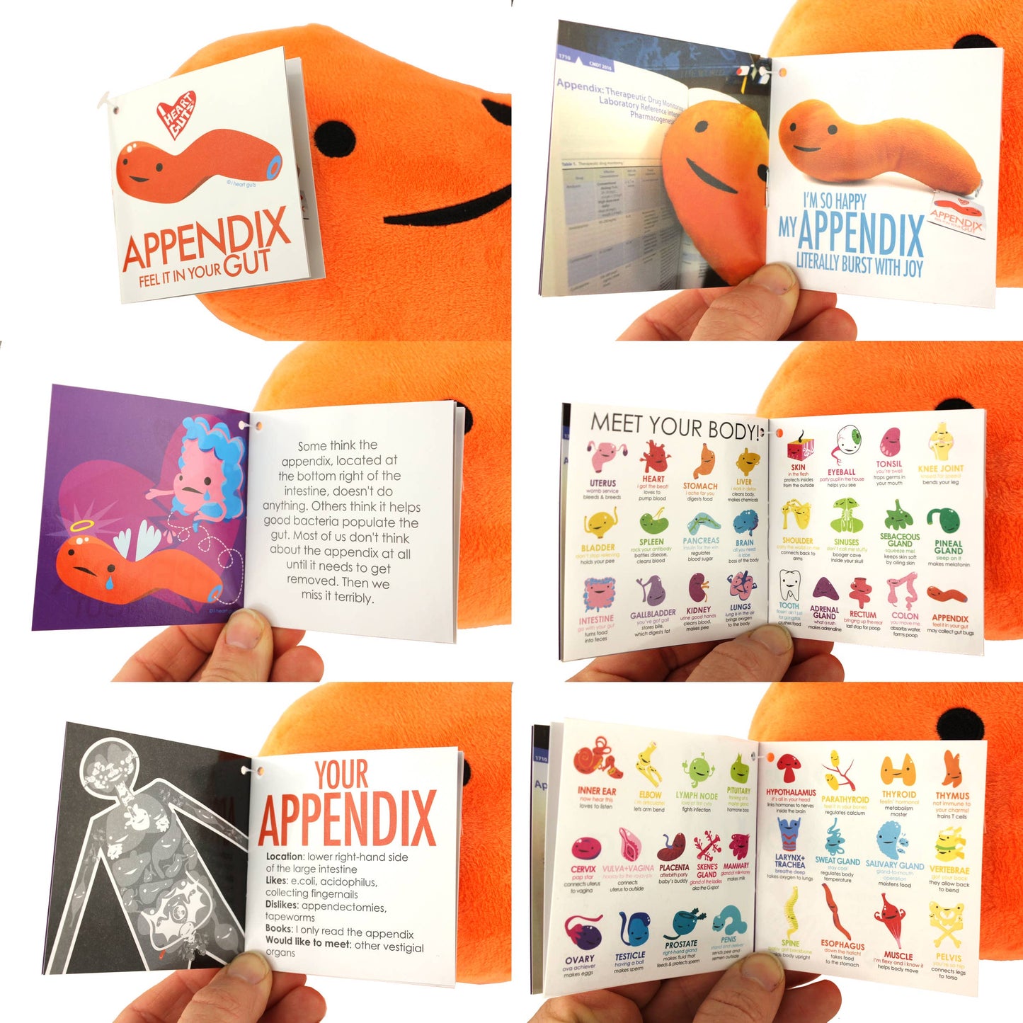 Appendix Plush - Feel It In Your Gut