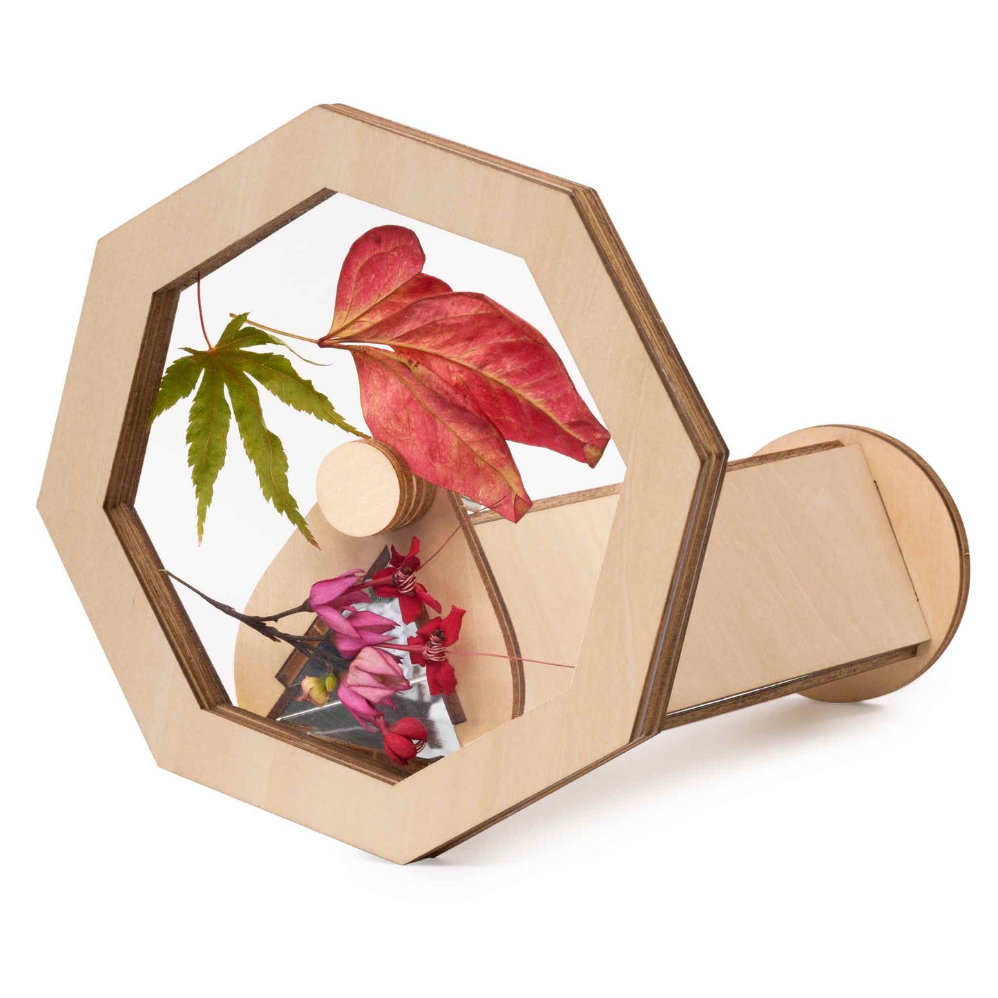 Creator Kaleido Craft