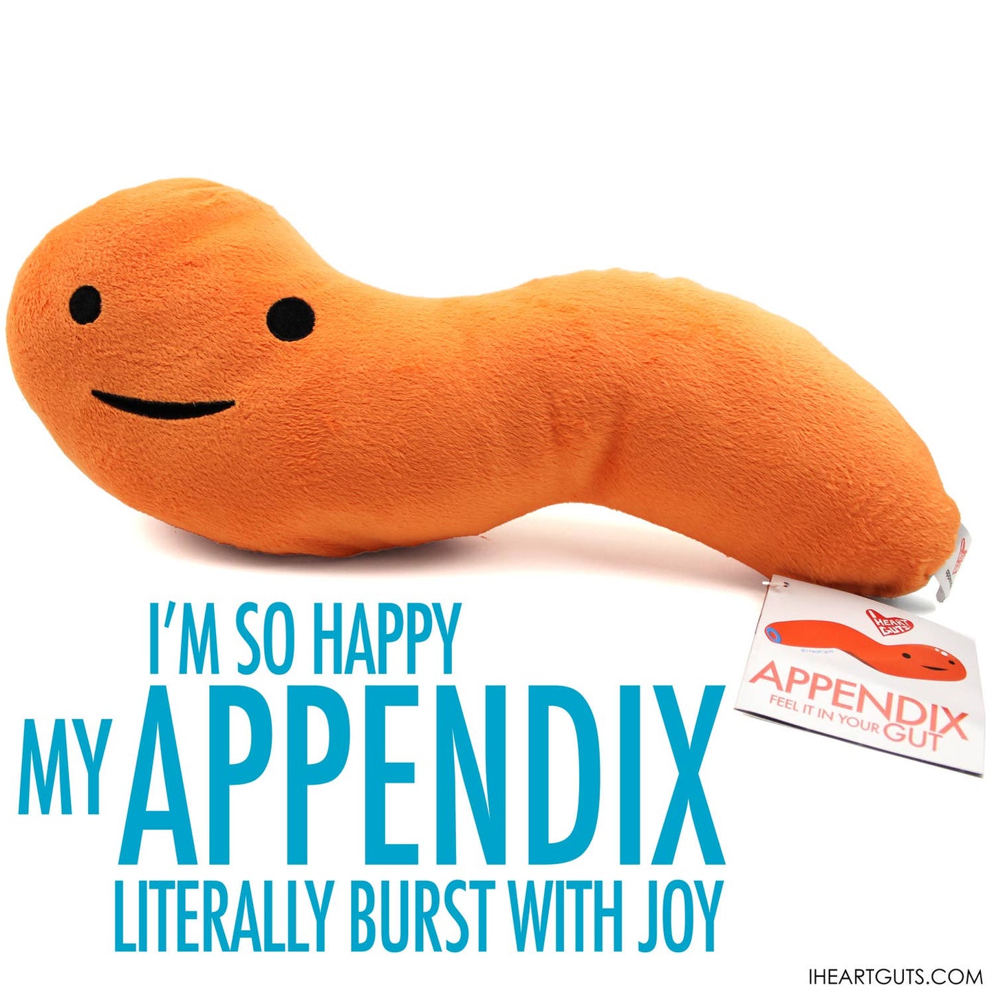 Appendix Plush - Feel It In Your Gut