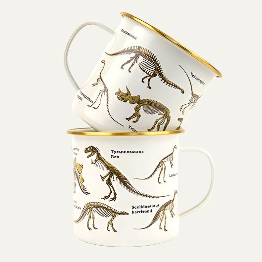 Dinosaurum Ecologie Enamel Mug