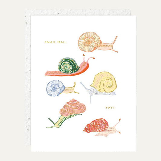 Snails - Just To Say Hi Card