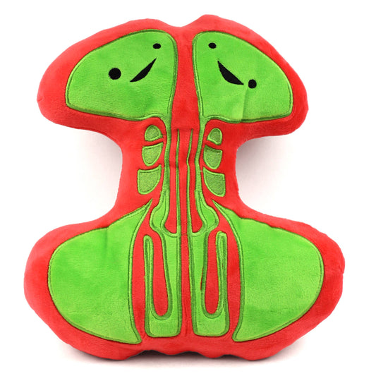 Sinus Plush - Breathing Buddies