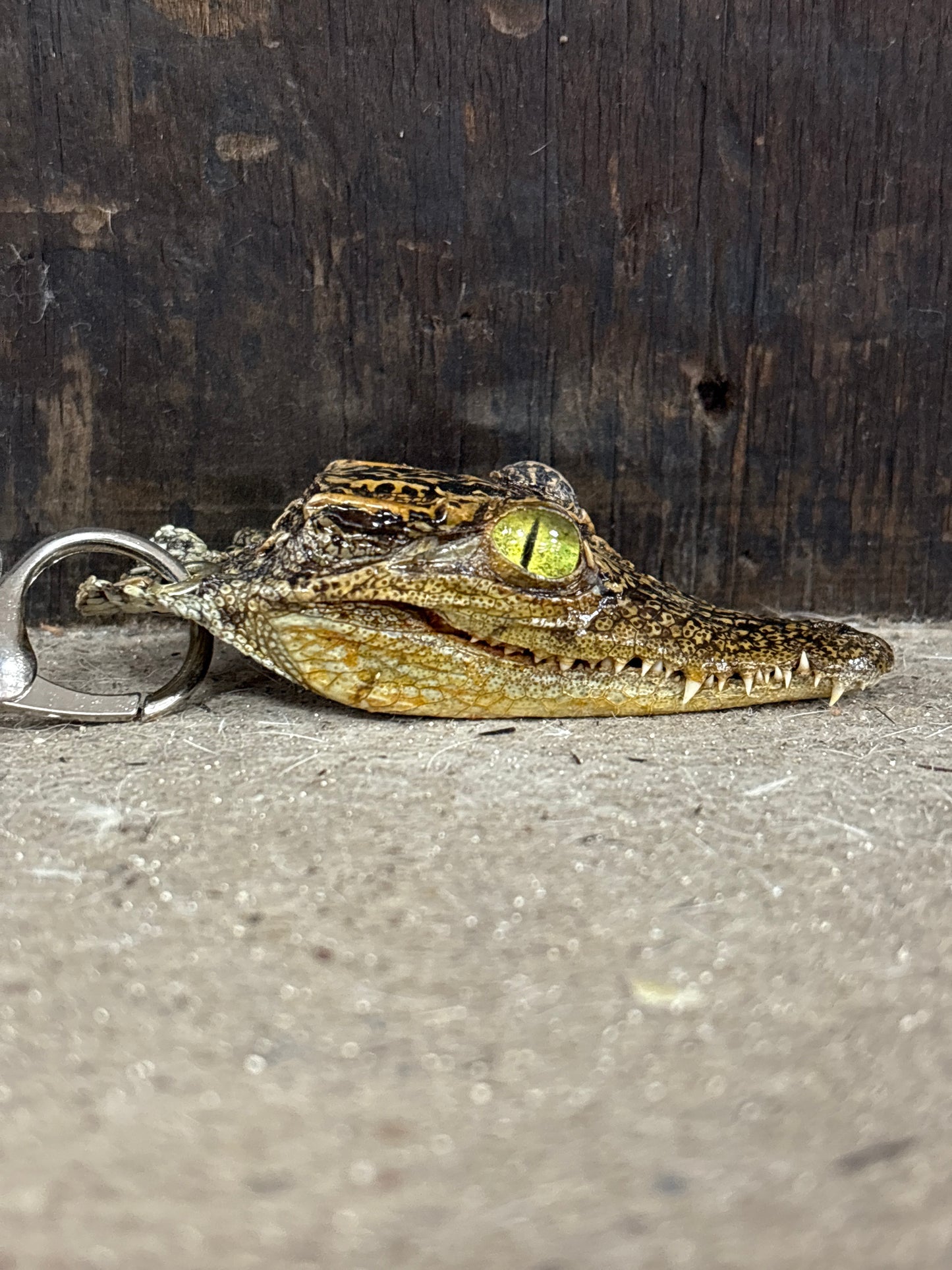 Alligator Keychain