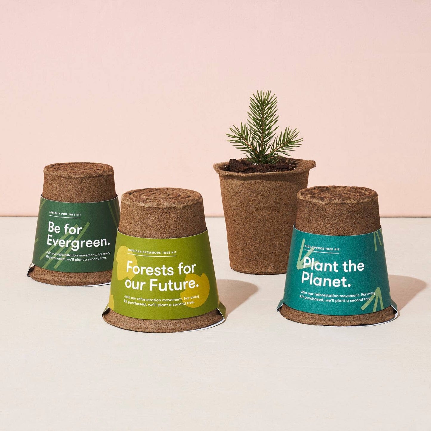 One-For One Tree Kit - Loblolly Pine