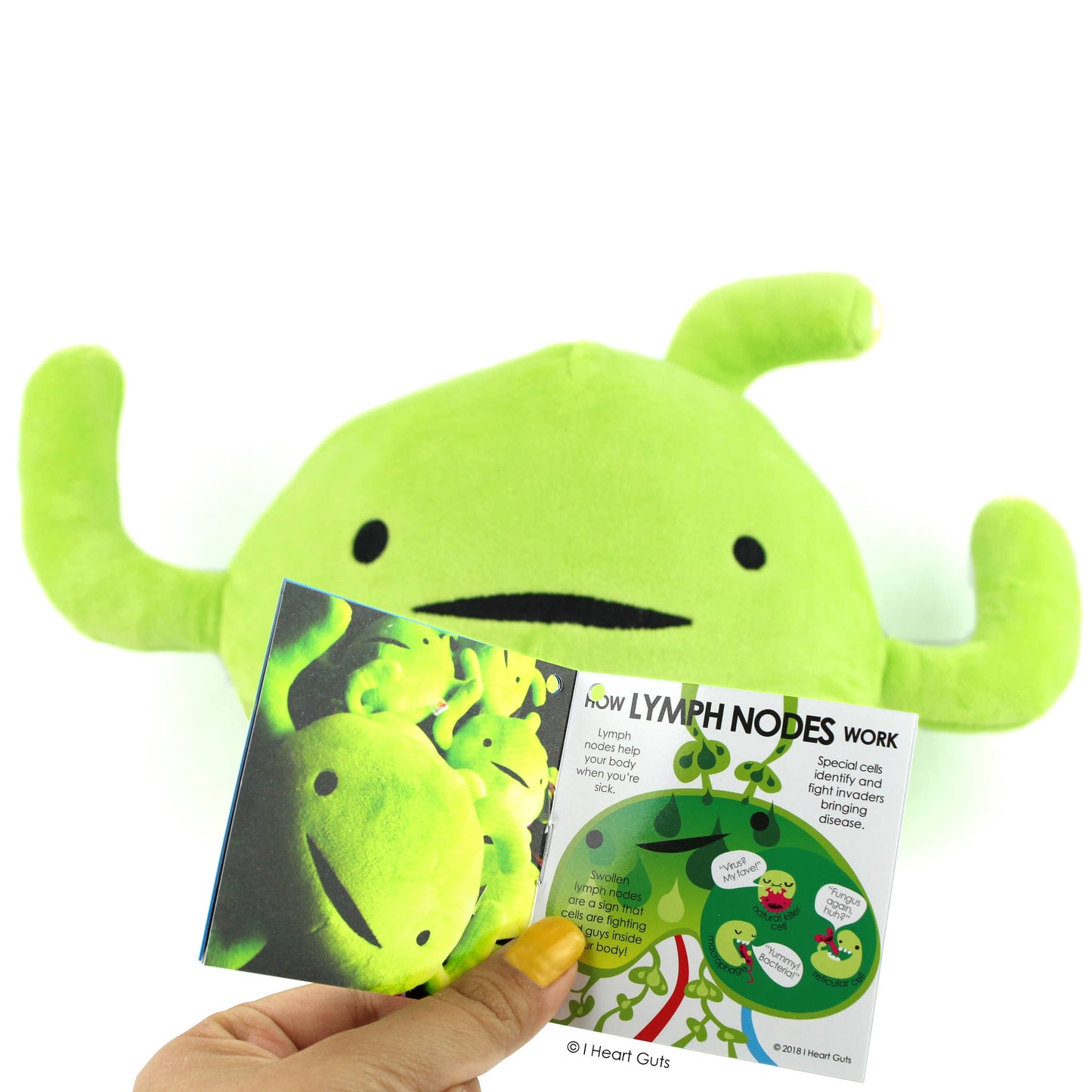 Lymph Node Plush - Rock Your Antibody