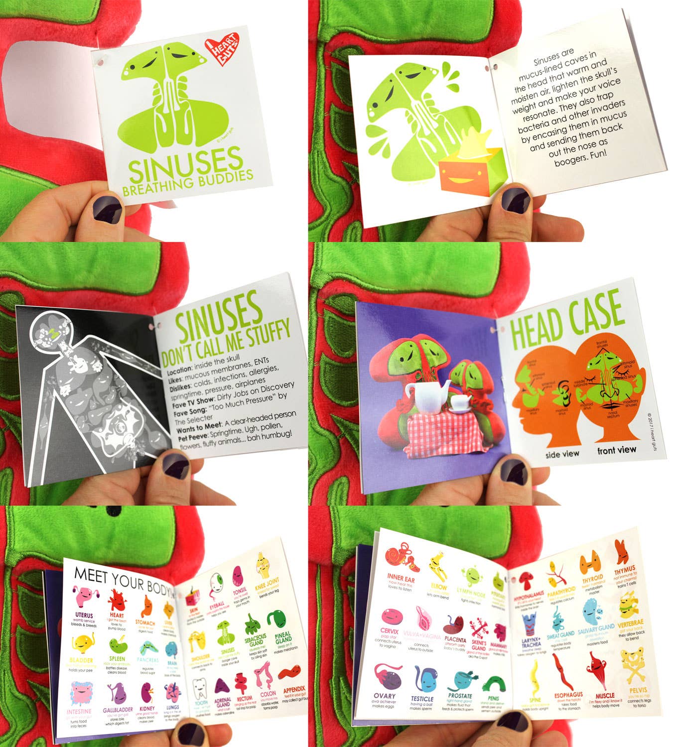 Sinus Plush - Breathing Buddies