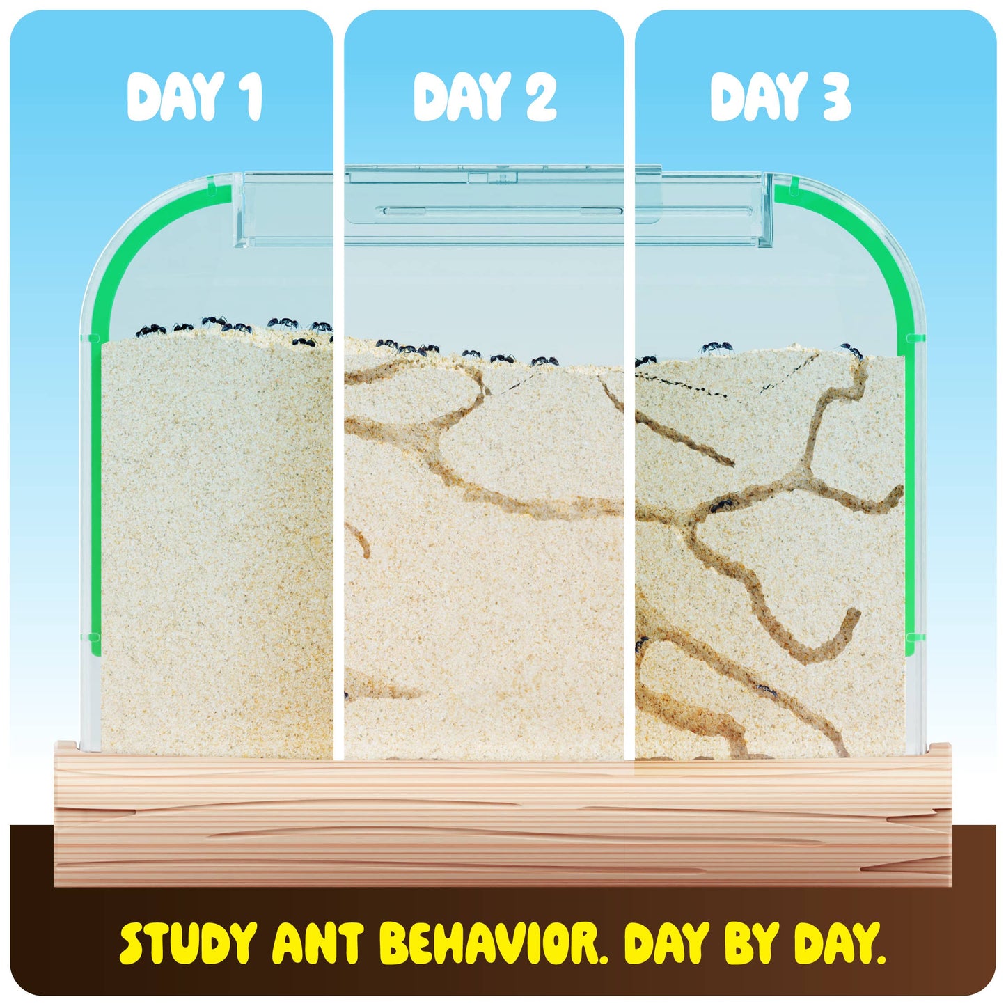 Ant Farm Kit for Kids, Sand Habitat, Includes Ant Voucher