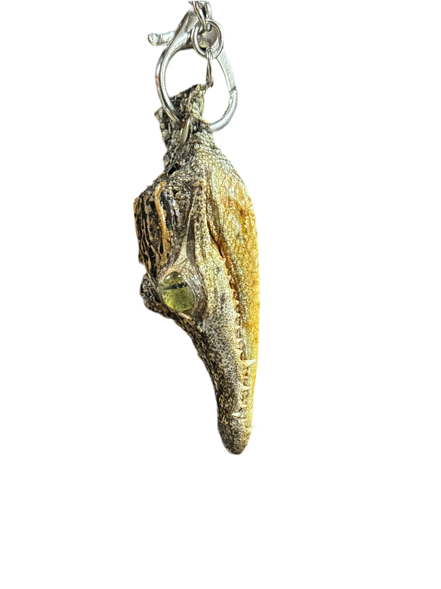 Alligator Keychain