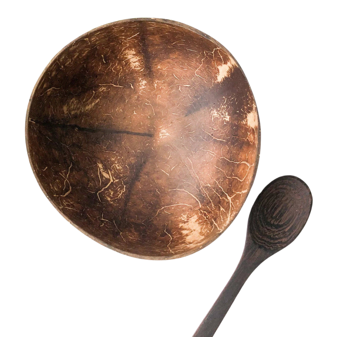 Natural Handmade Organic Coconut Bowl & Spoon