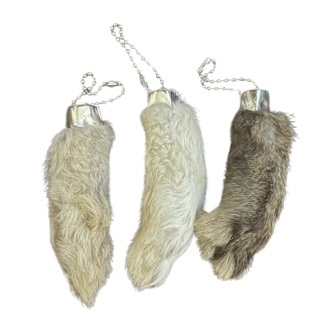 Rabbit Foot – FLORA & FAUNA