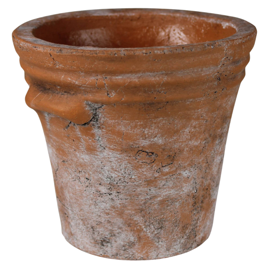 Tresco Rustic Cement Pot