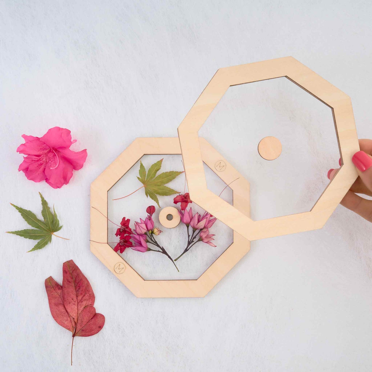 Creator Kaleido Craft
