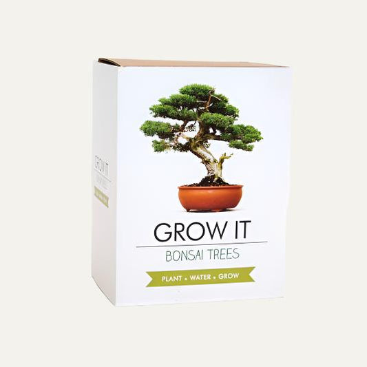 Bonsai Trees Grow It