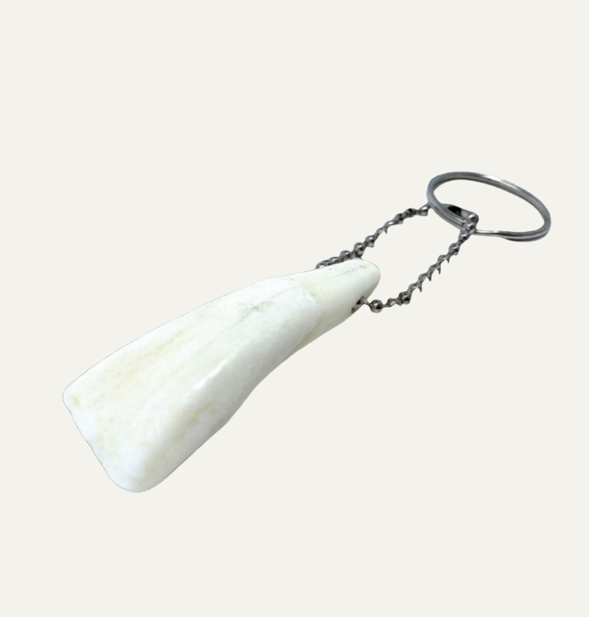 Bison Tooth Keychain