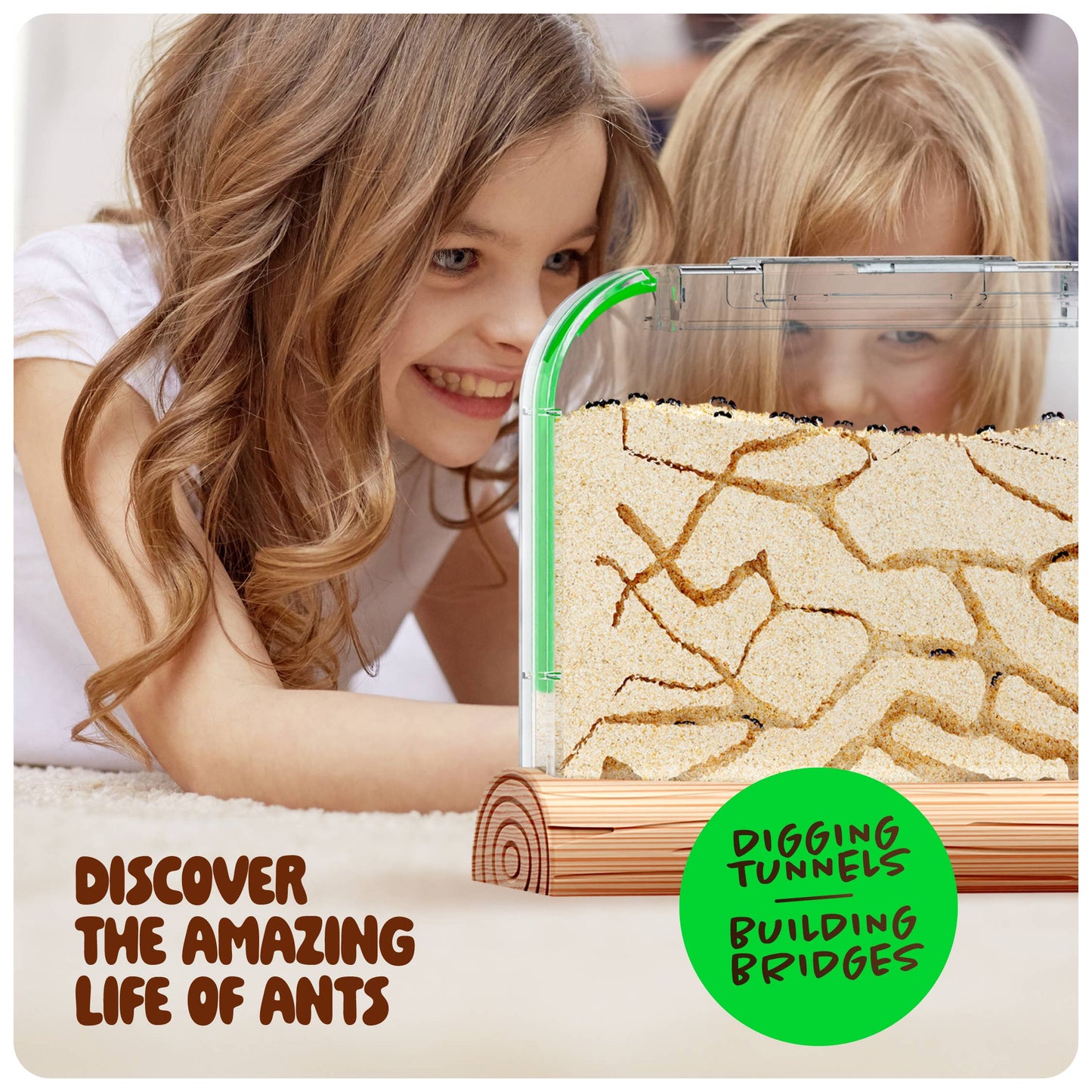 Ant Farm Kit for Kids, Sand Habitat, Includes Ant Voucher