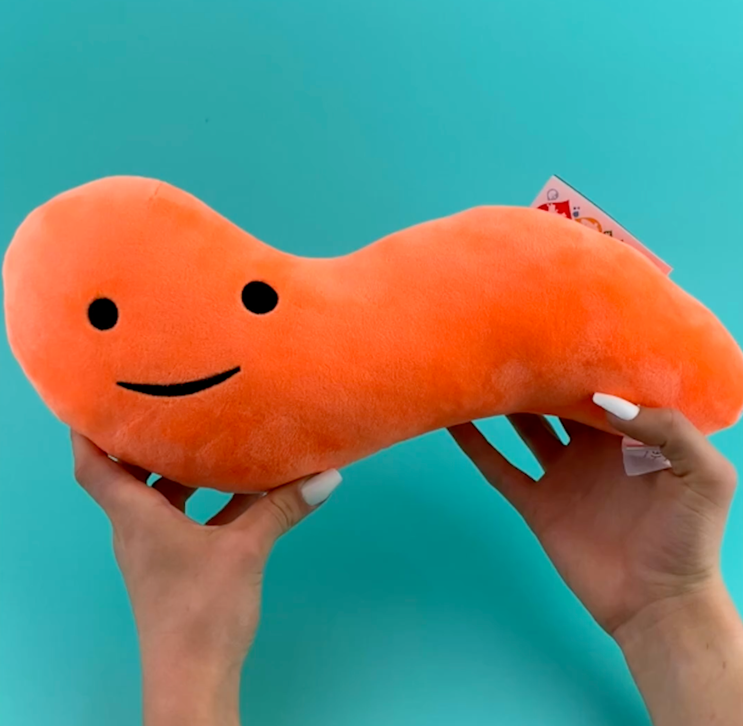 Appendix Plush - Feel It In Your Gut