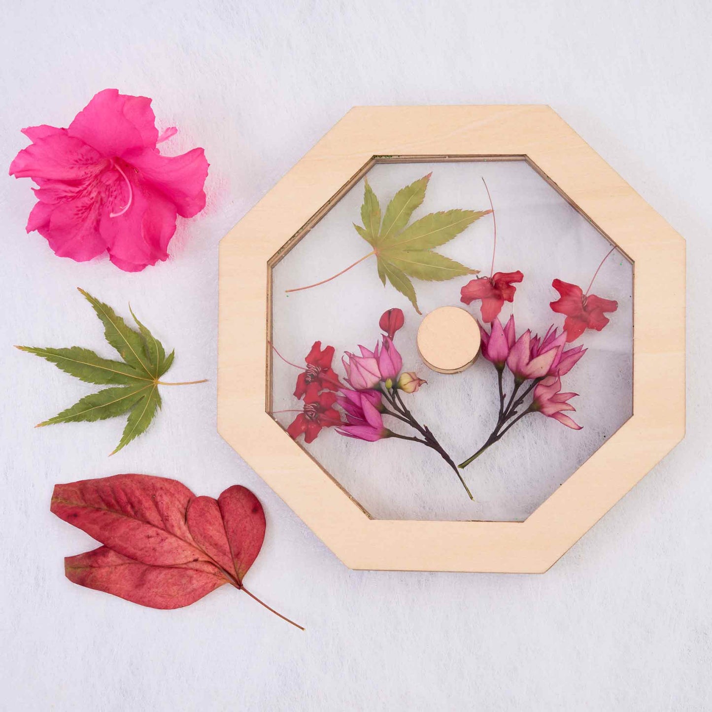 Creator Kaleido Craft